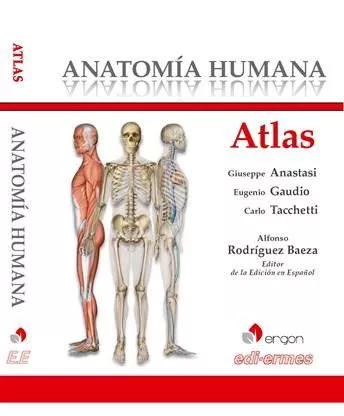 Portada del Libro Atlas Anatomia Humana de Eugenio Gaudio - 9788870515947