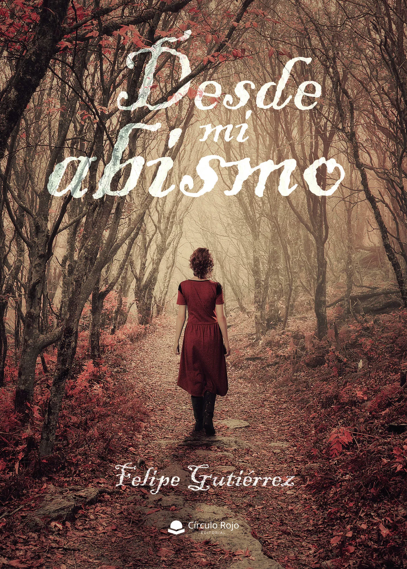 Portada del Libro Desde Mi Abismo de Felipe Gutierrez - 9788413311036