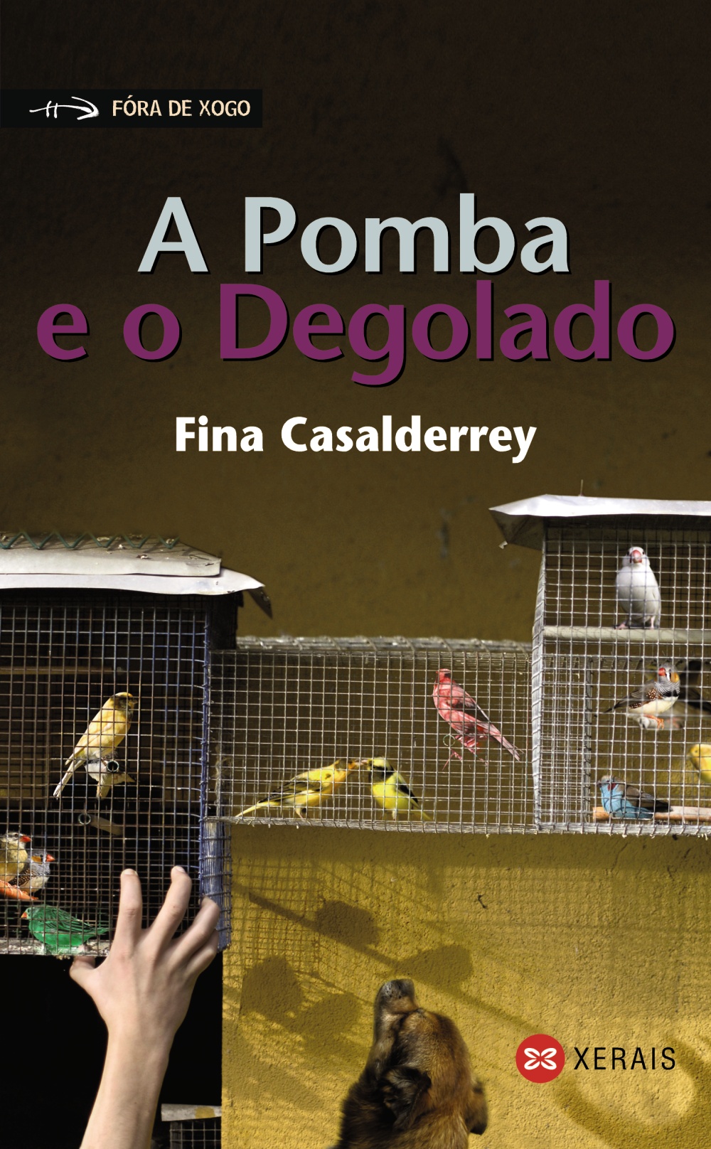 Portada del Libro A Pomba E O Degolado de Fina Casalderry - 9788497825597
