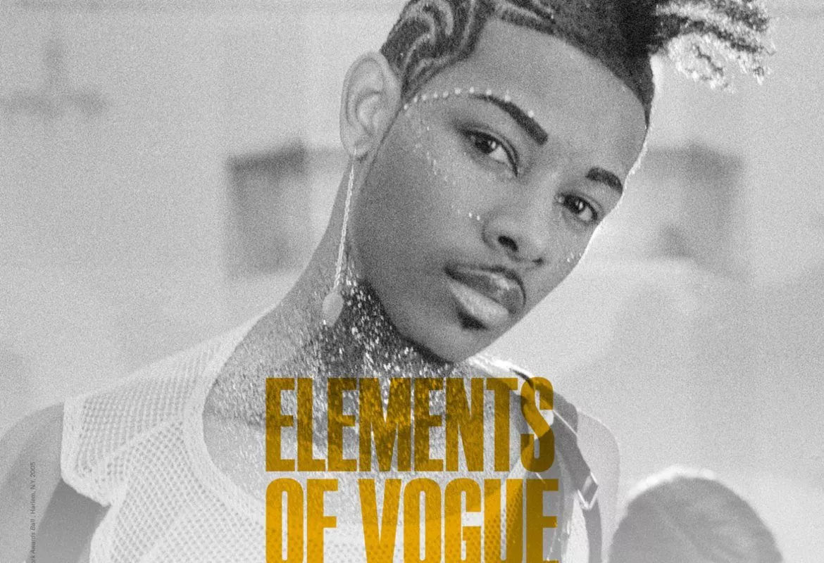 Portada del Libro Elements Of Vogue. Un Caso De Estudio De Performance Radical de Floiran Bierd - 9788445138311
