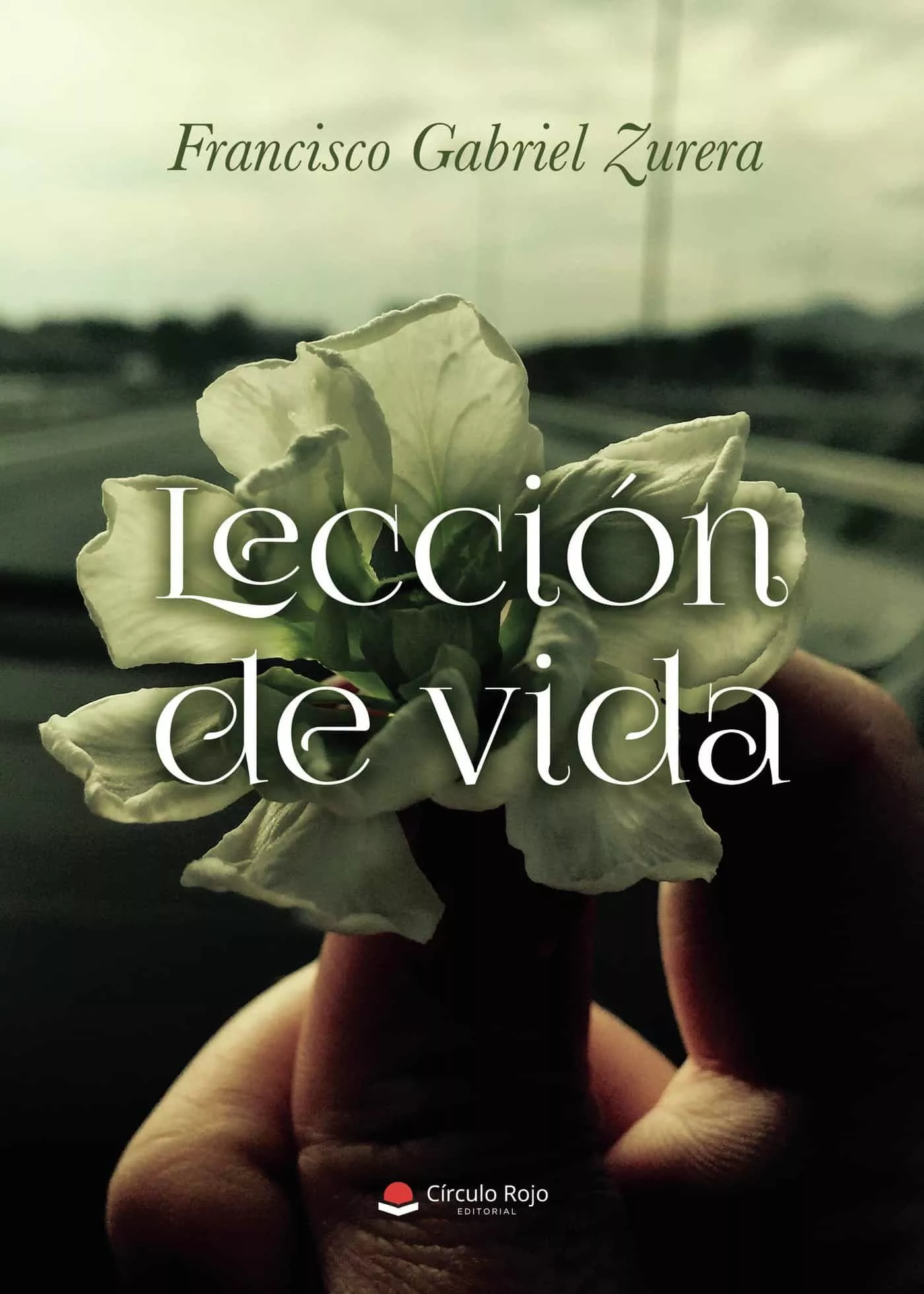 Portada del Libro Lección De Vida de Francisco Gabriel Zurera - 9788413387796