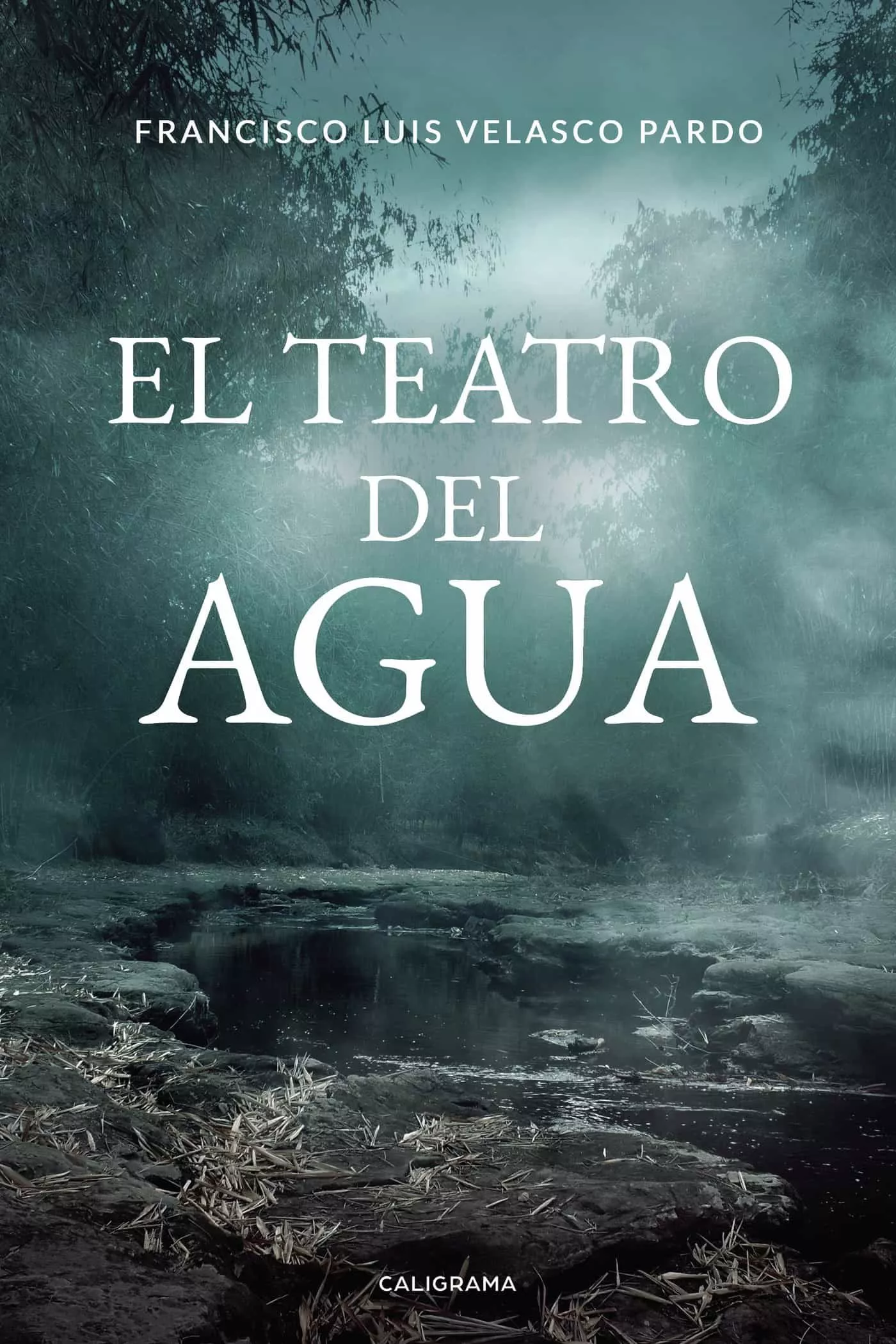 Portada del Libro (I.B.D.) El Teatro Del Agua de Francisco Luis Velasco Pardo - 9788417915452