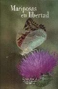 Portada del Libro Mariposas En Libertad de Gabino Martin Toral - 9788484762850