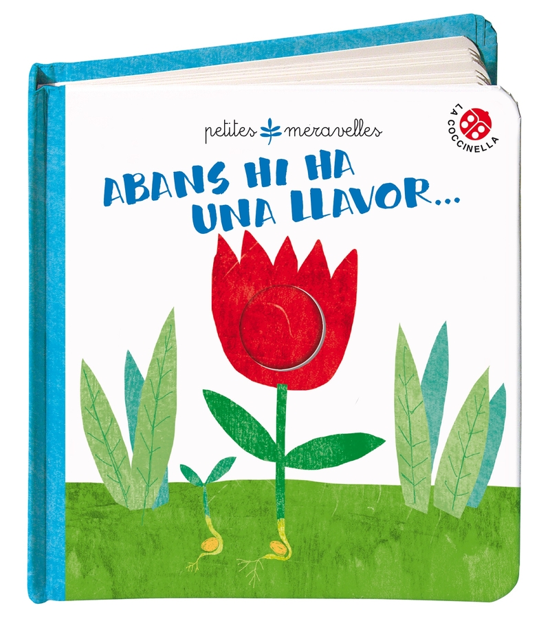 Portada del Libro Abans Hi Ha Una Llavor (Cat) de Gabriele Clima - 9788855060325