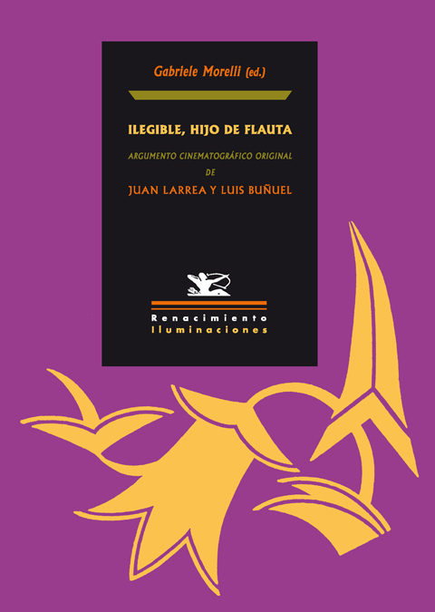 Portada del Libro Ilegible Hijo De Flauta de Gabrielle Morelli - 9788484723233