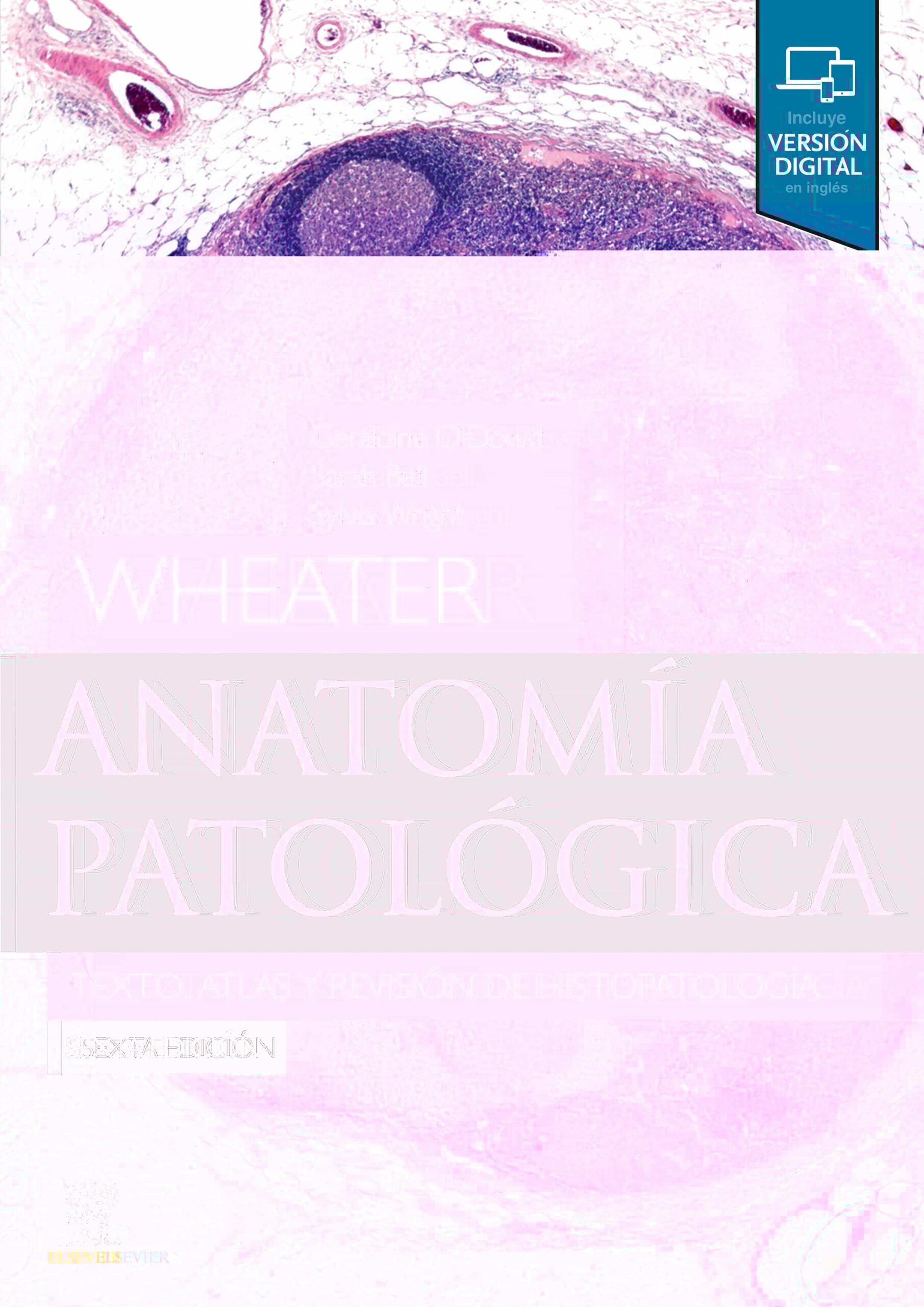 Portada del Libro Wheater: Anatomia Patologica (6ª Ed.): Texto Atlas Y Revision De Histo de Geraldine O Dowd - 9788491137467