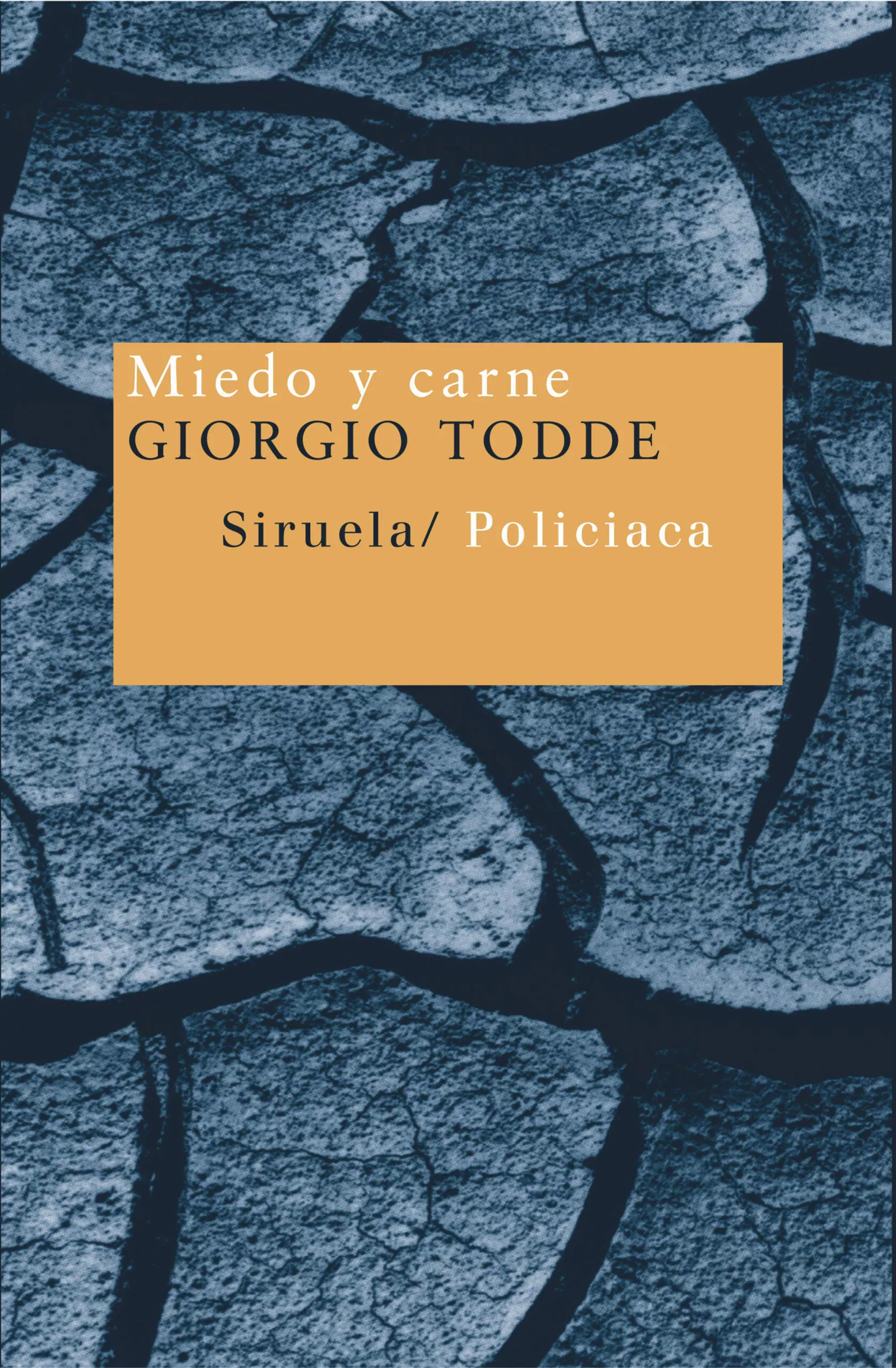 Portada del Libro Miedo Y Carne de Giorgio Todde - 9788478448838