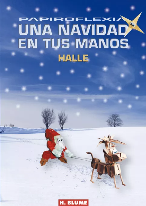 Portada del Libro Una Navidad En Tus Manos de Halle - 9788489840645