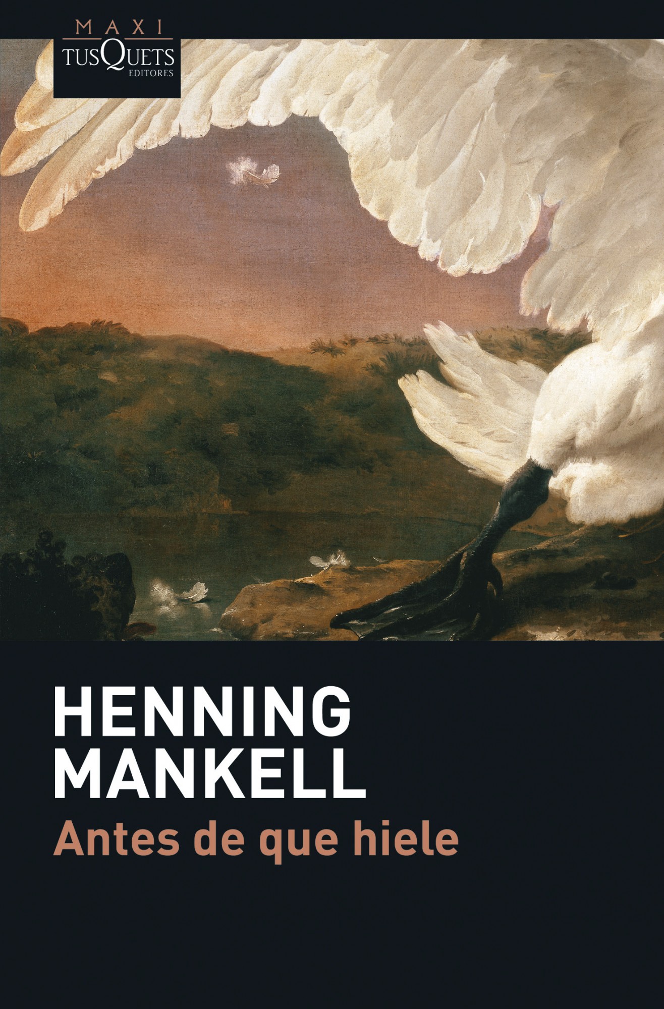 Portada del Libro Antes De Que Hiele de Henning Mankell - 9788483835029