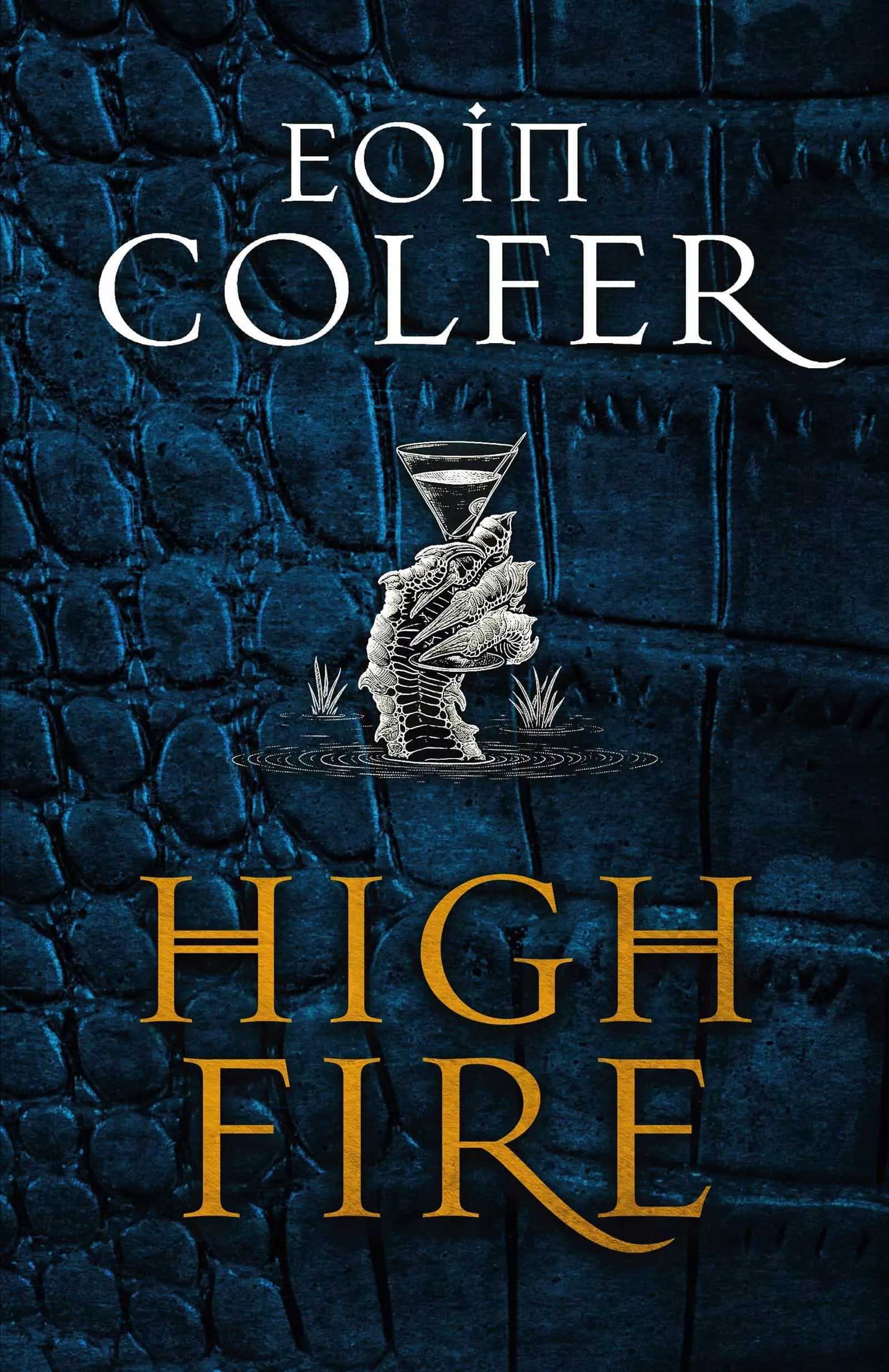 Portada del Libro Highfire de - 9781529402025