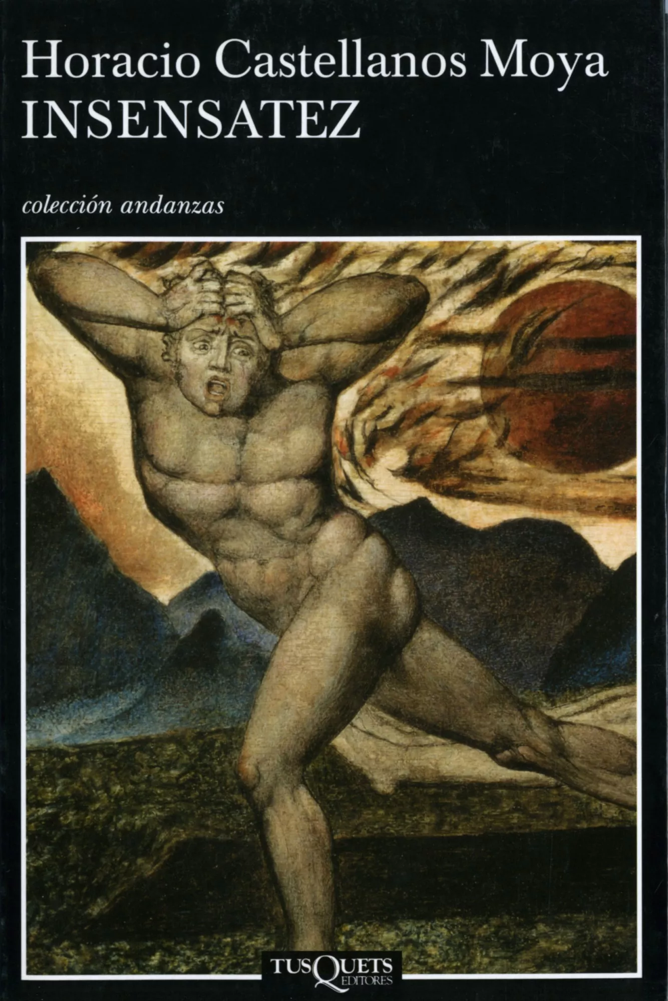 Portada del Libro Insensatez de Horacio Castellanos Moya - 9788483103142