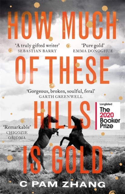 Portada del Libro How Much Of These Hills Is Gold de - 9780349011479