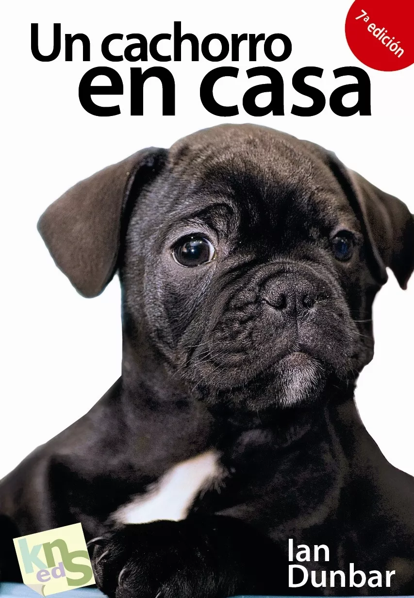 Portada del Libro Un Cachorro En Casa: ¡No Hay Tiempo Que Perder!: Etapas Criticas En El de Ian Dunbar - 9788493460938