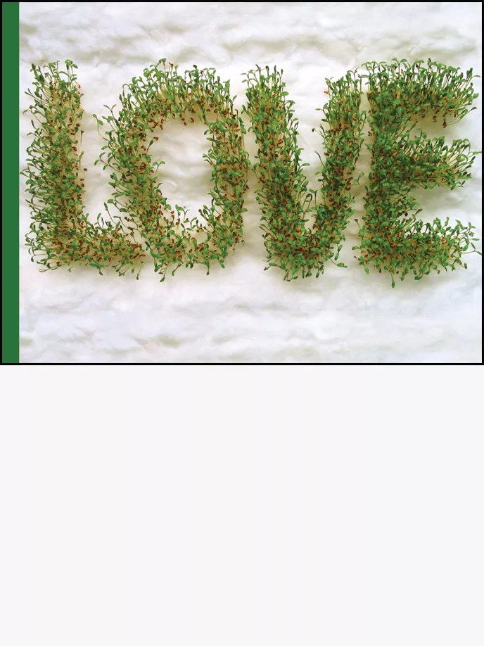 Portada del Libro Love de Isabelle Gil - 9788493526900