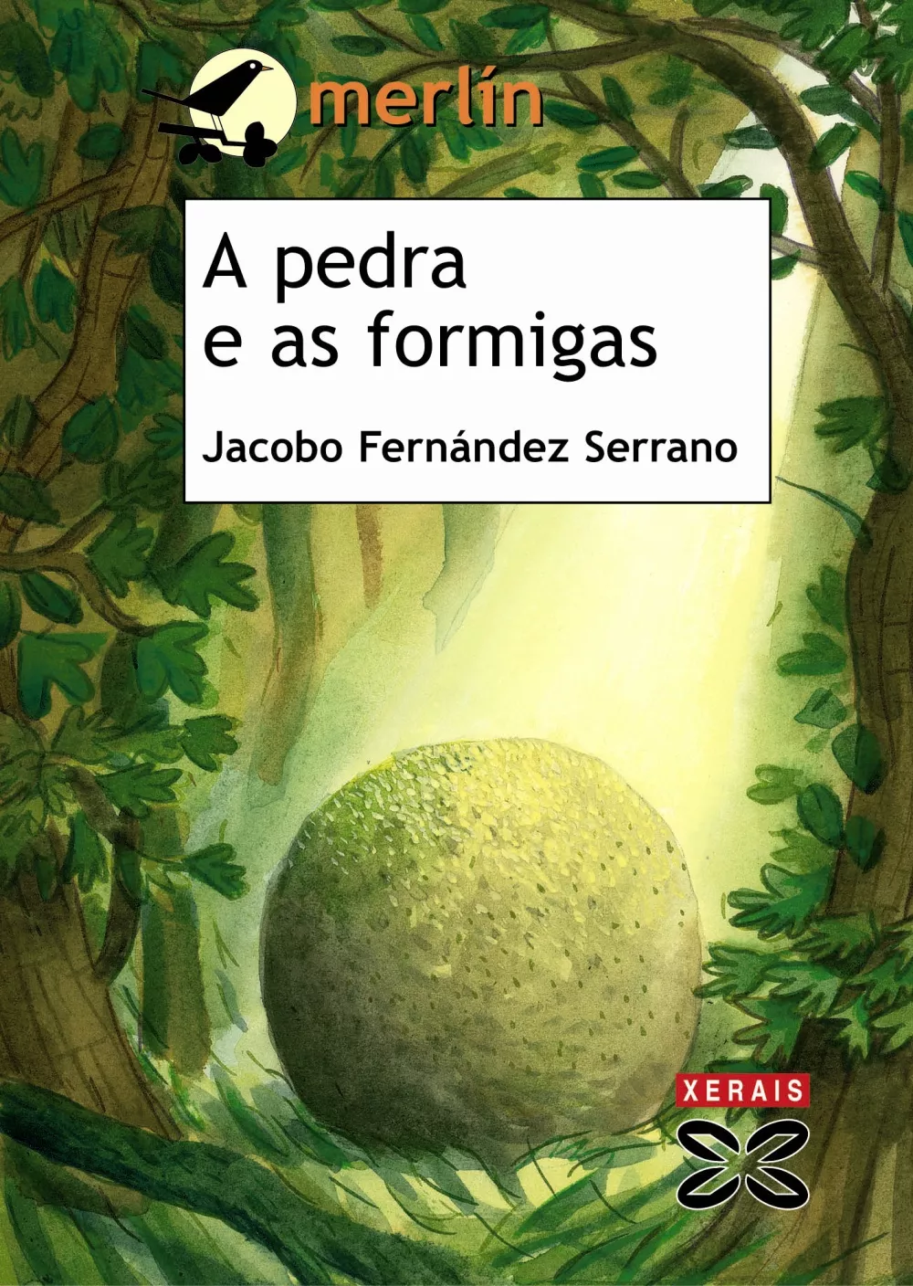 Portada del Libro A Pedra E As Formigas de Jacobo Fernandez Serrano - 9788497824835