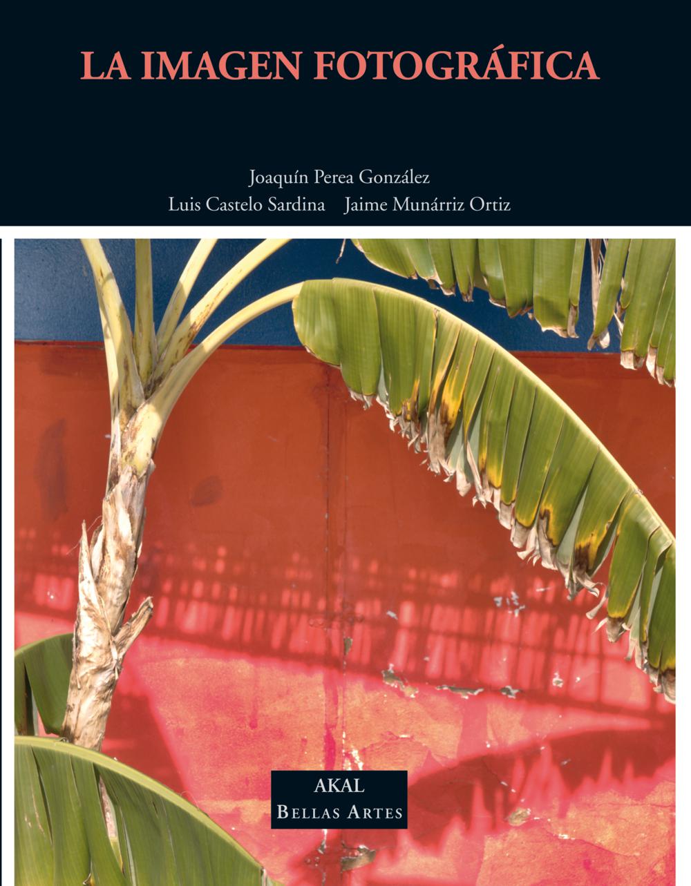Portada del Libro La Imagen Fotografica de Jaime Muñarriz Ortiz - 9788446020004