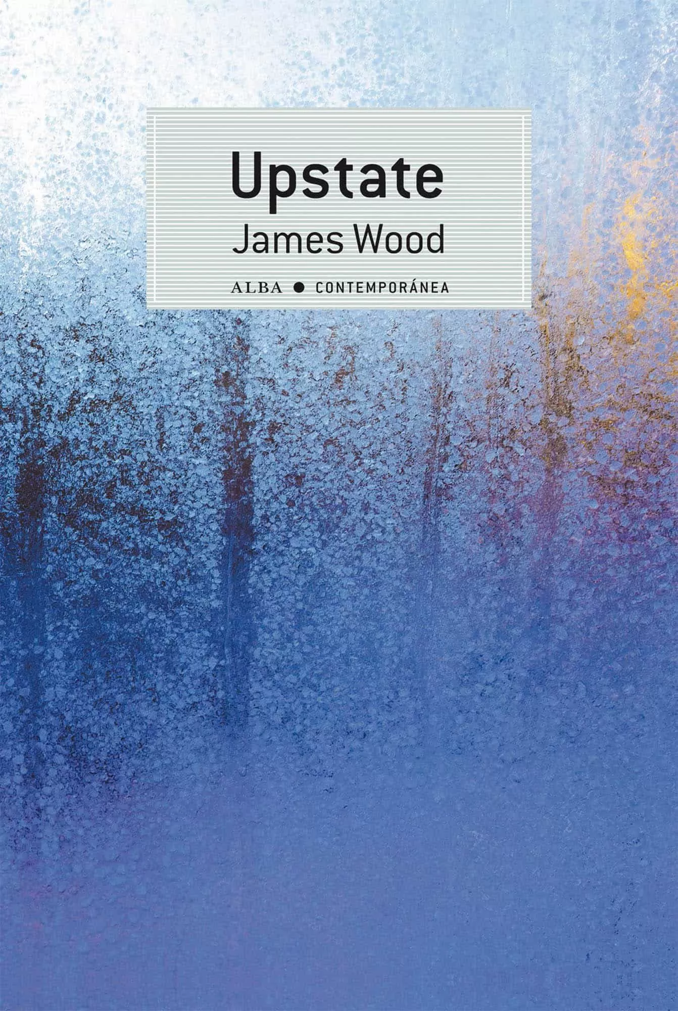 Portada del Libro Upstate de James Wood - 9788490655962