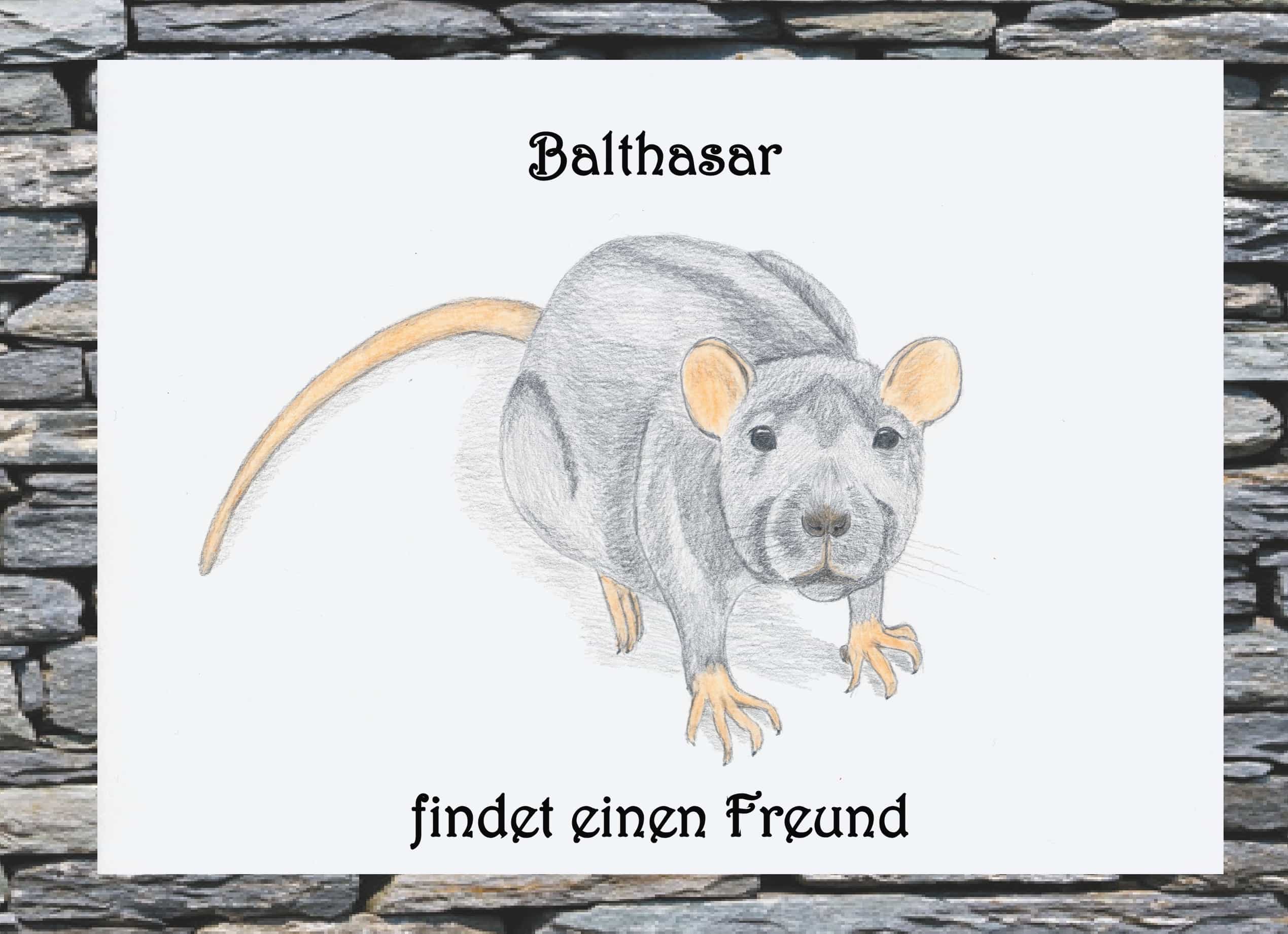 Portada del Libro Balthasar Findet Einen Freund de Jasmin Wimmer - 9783752877786
