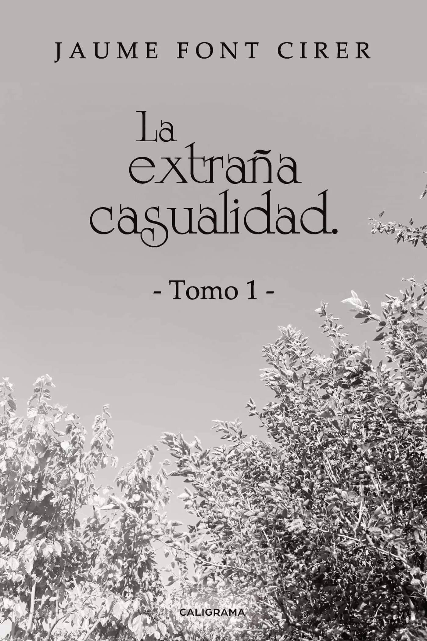 Portada del Libro (I.B.D.)La Extraña Casualidad. Tomo 1 de Jaume Font Cirer - 9788417947484