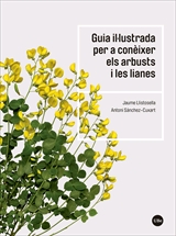 Portada del Libro Guia Il·Lustrada Per A Coneixer Els Arbusts I Les Lianes de Jaume Llistosella Vidal - 9788491683735
