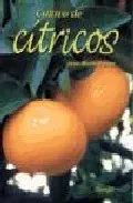 Portada del Libro Cultivo De Citricos de Jean Marie Polese - 9788428214292