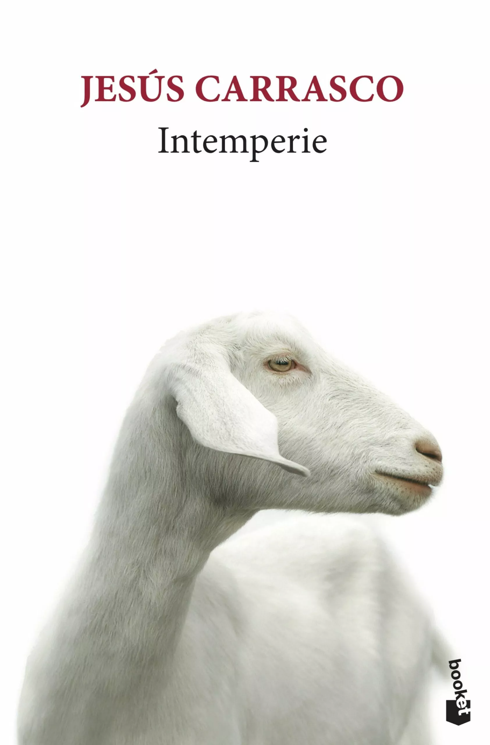 Portada del Libro Intemperie de Jesus Carrasco - 9788432235757