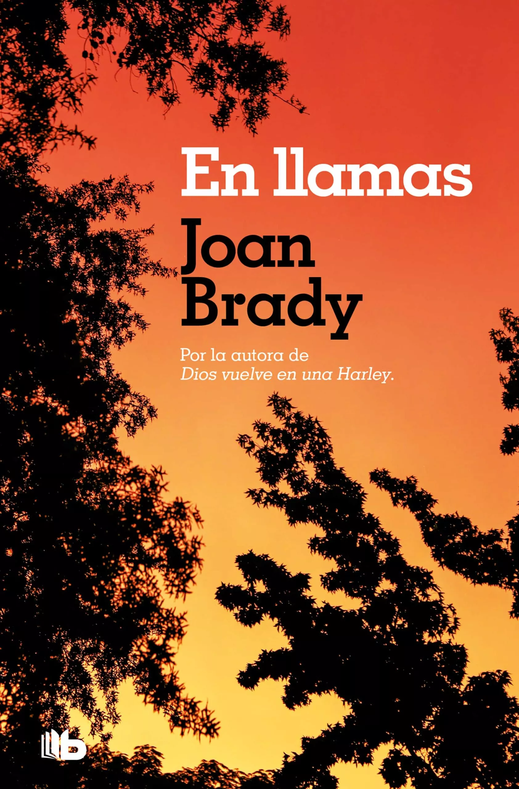Portada del Libro En Llamas de Joan Brady - 9788496581098
