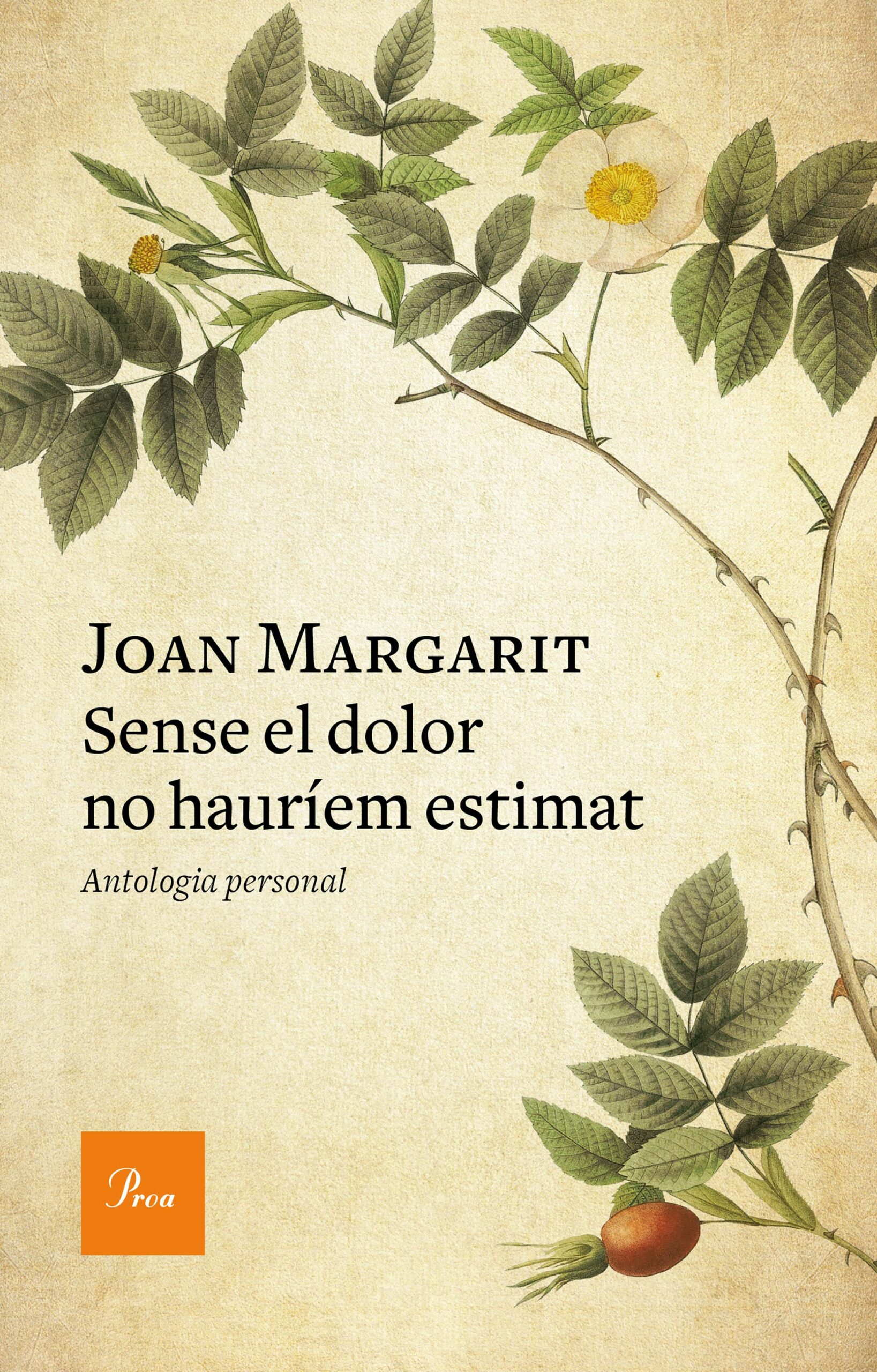 Portada del Libro Sense El Dolor No Hauríem Estimat de Joan Margarit - 9788475888293
