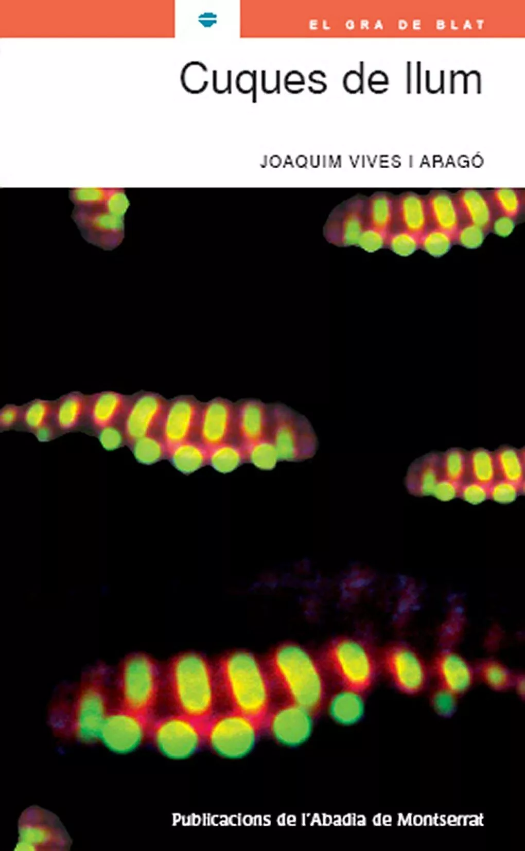 Portada del Libro Cuques De Llum de Joaquim Vives - 9788484158486