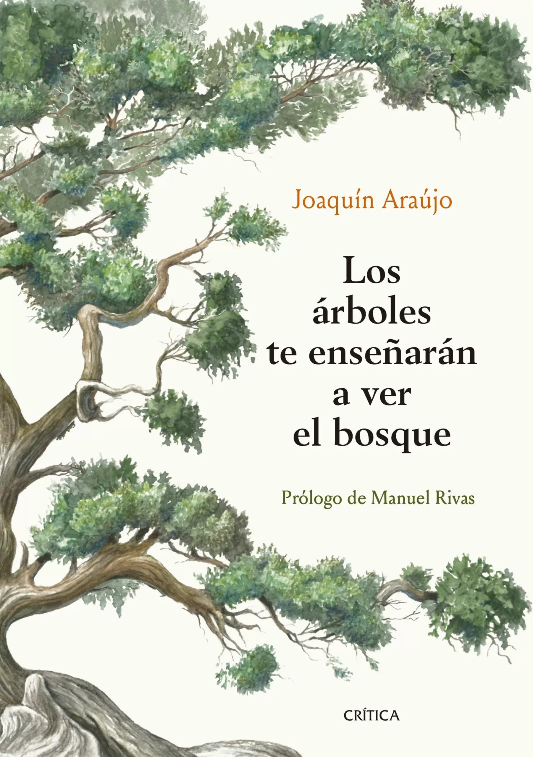 Portada del Libro Los Árboles Te Enseñarán A Ver El Bosque de Joaquin Araujo - 9788491992080