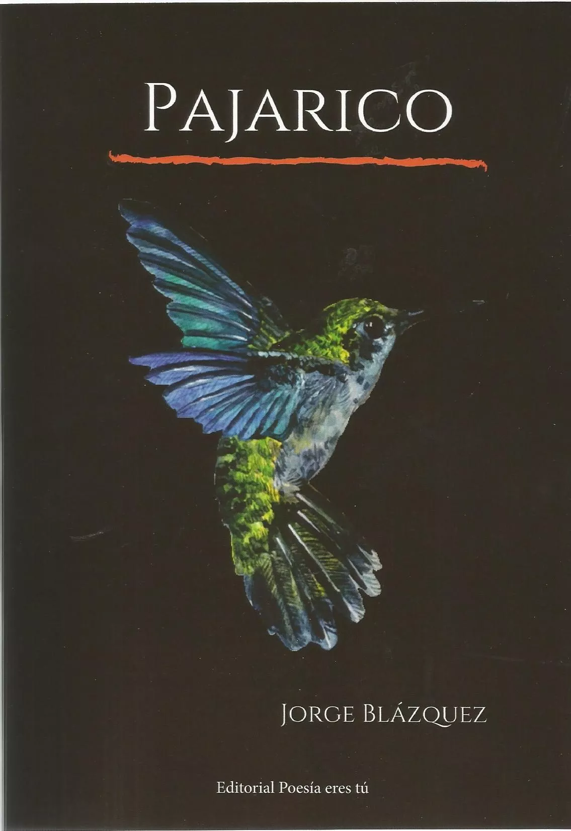 Portada del Libro Pajarico de Jorge Blazquez - 9788417754310