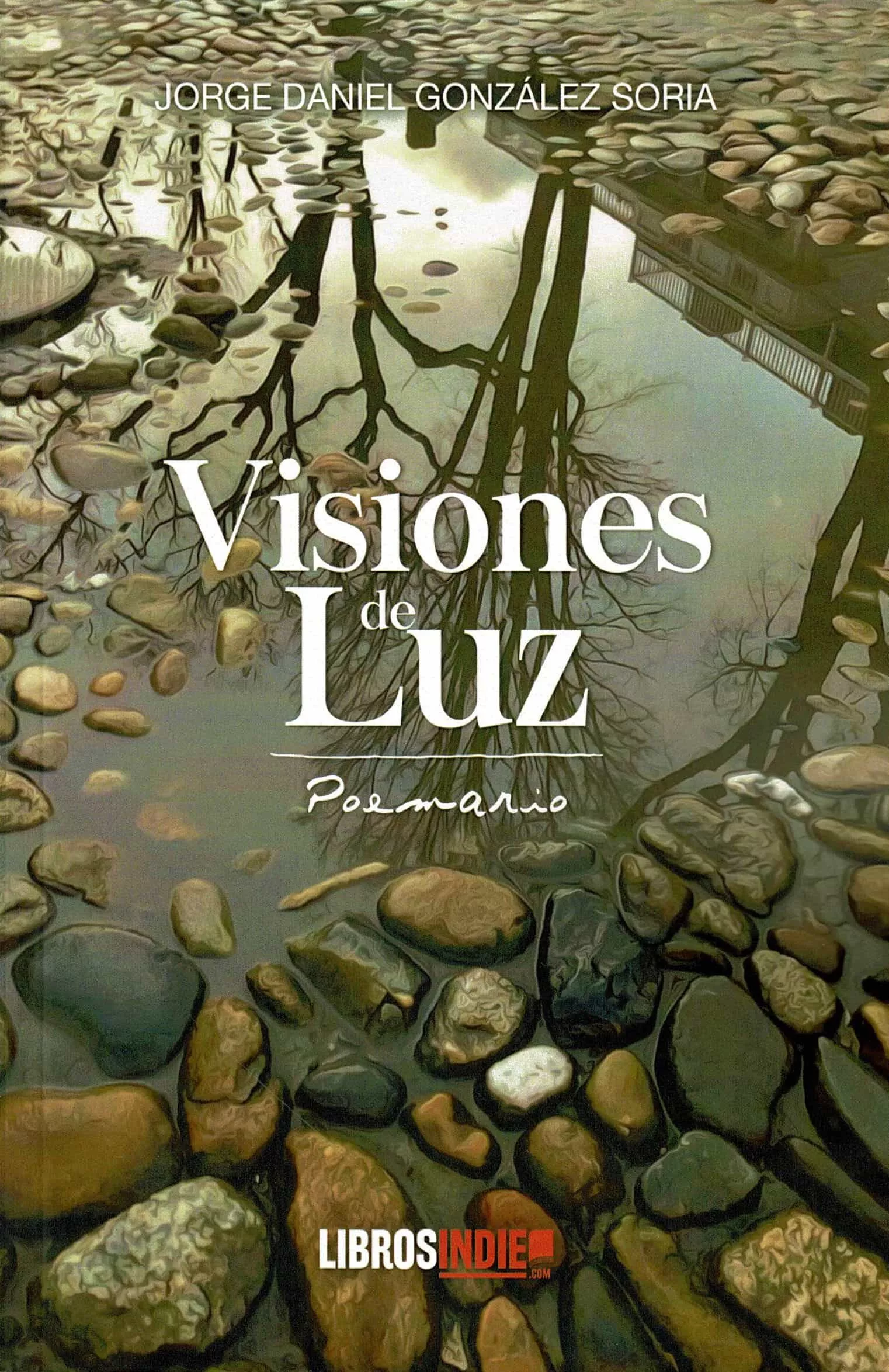 Portada del Libro Visiones De Luz de Jorge Daniel Gonzalez Soria - 9788418112706