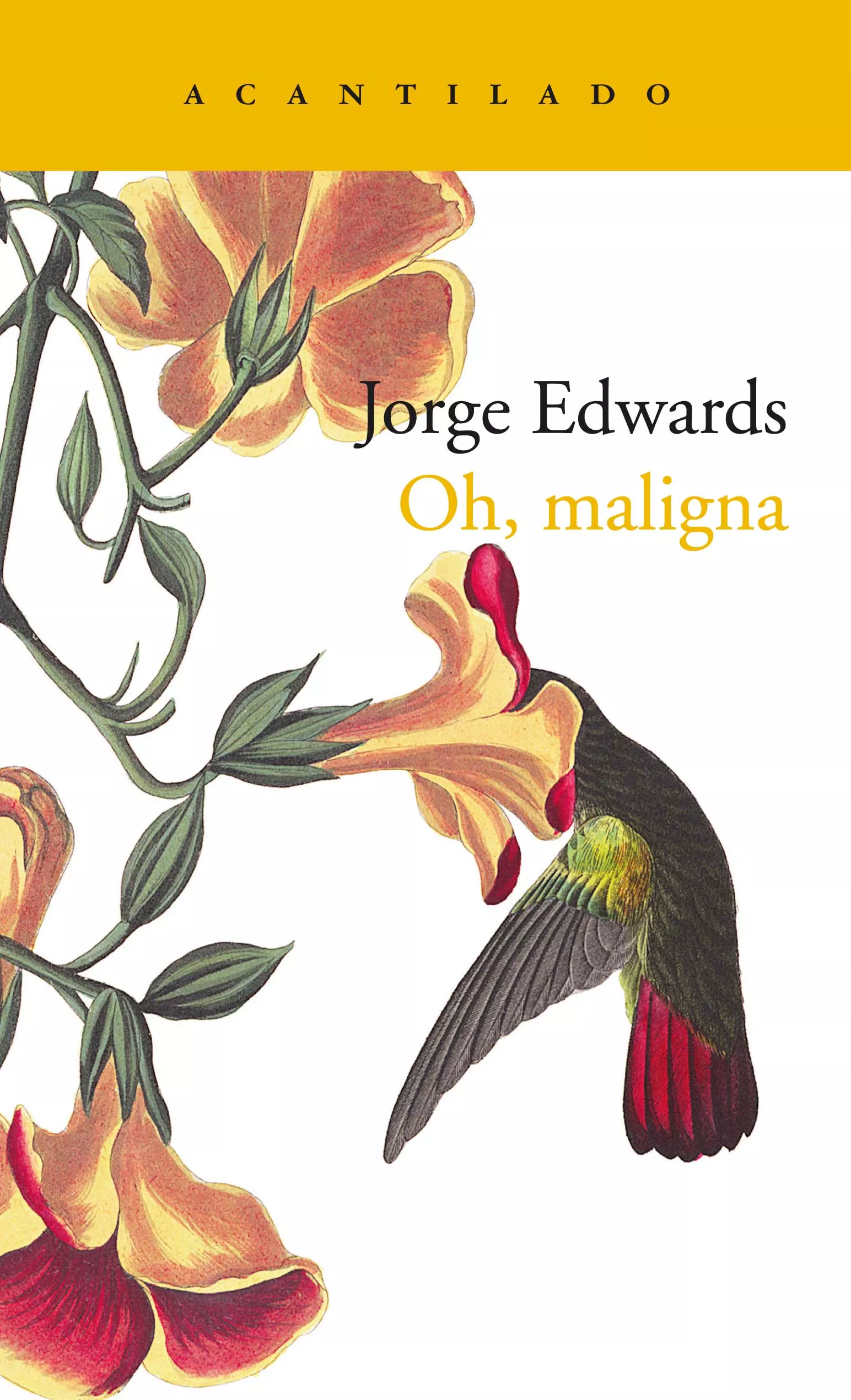 Portada del Libro Oh Maligna de Jorge Edwards Valdes - 9788417902070