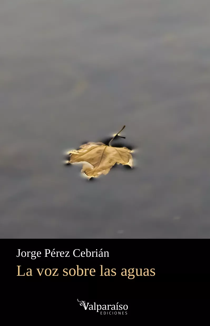 Portada del Libro La Voz Sobre Las Aguas de Jorge Perez Cebrian - 9788417096960