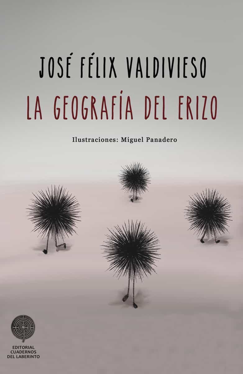 Portada del Libro La Geografía Del Erizo de Jose Felix Valdivieso Gonzalez - 9788412130935