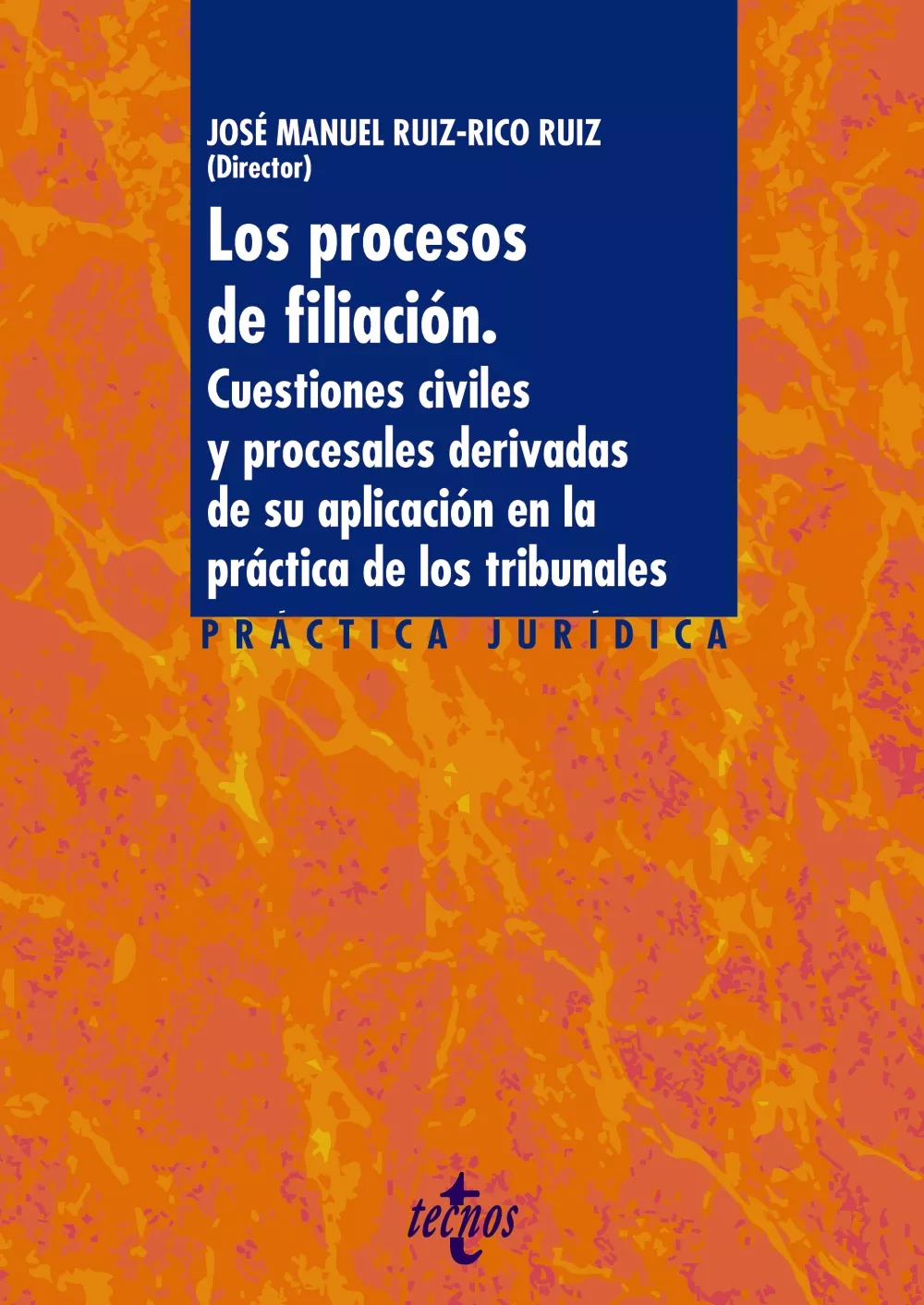 Portada del Libro Los Procesos De Filiacion: Cuestiones Civiles Y Procesales Derivadas D de Jose Manuel Ruiz Rico Ruiz - 9788430978779