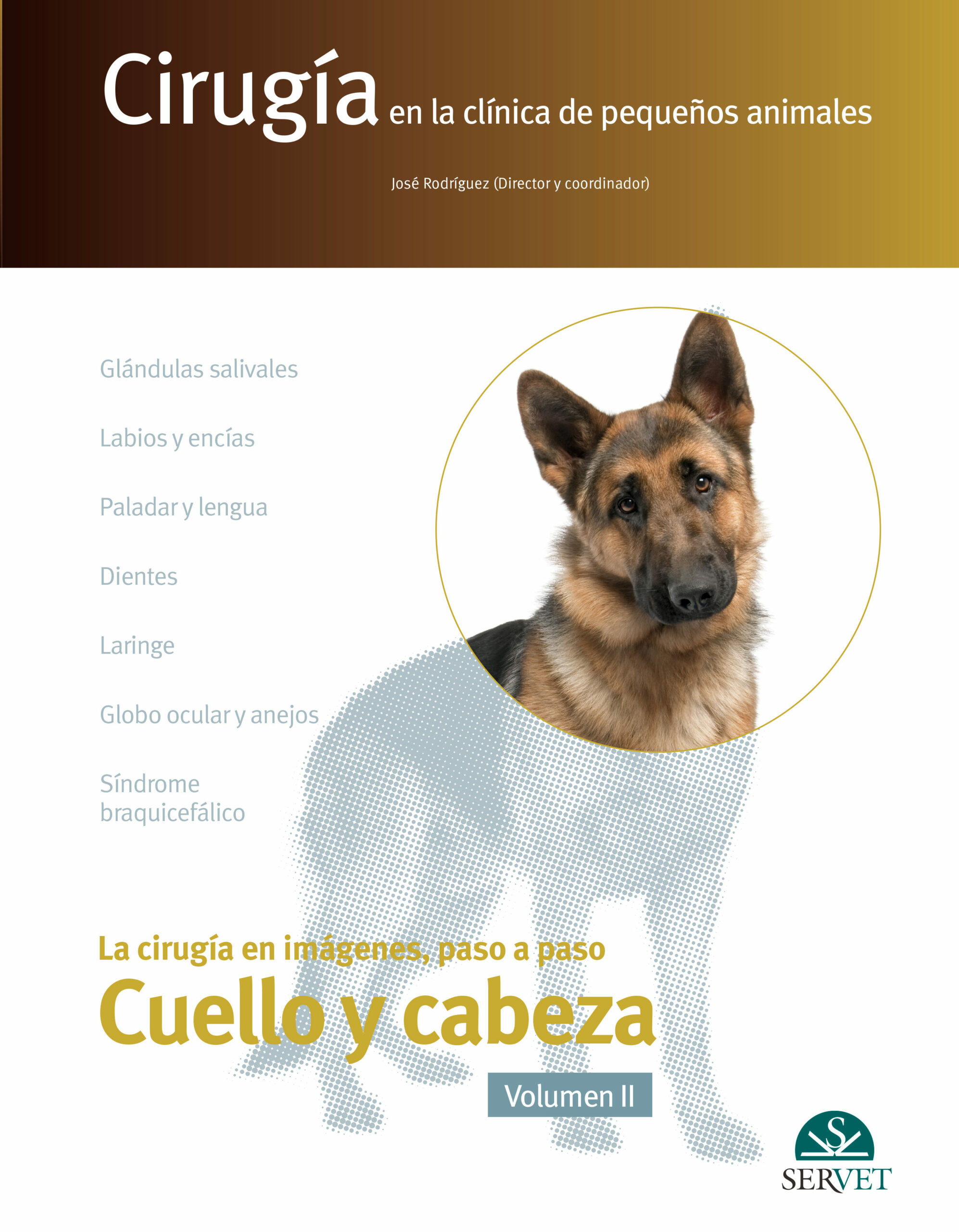 Portada del Libro Cirugía En La Clínica De Pequeños Animales. Cabeza Y Cuello. Volu Men de Jose Rodriguez Gomez - 9788417640804