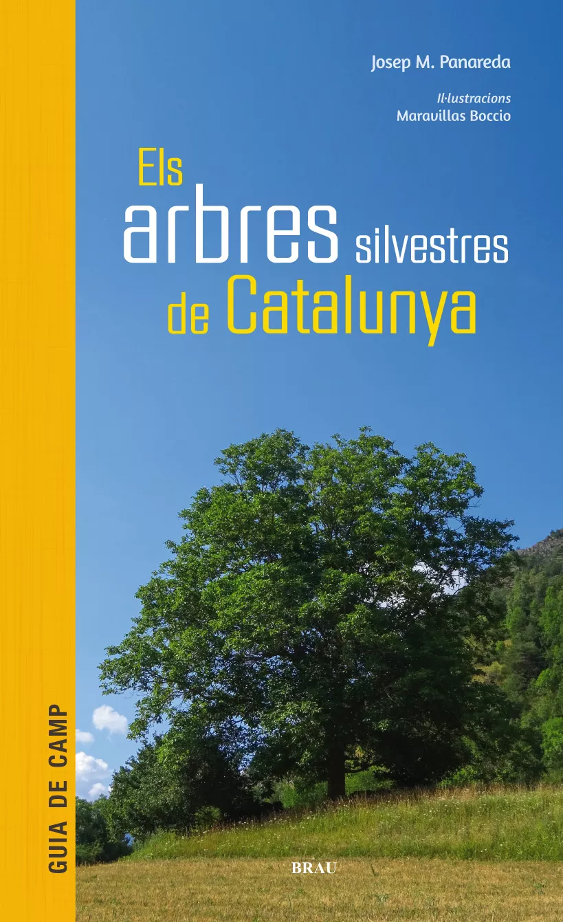 Portada del Libro Arbres Silvestres De Catalunya de Josep Maria Panareda - 9788415885856