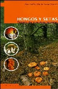 Portada del Libro Hongos Y Setas: Tesoro De Nuestros Montes de Juan Andres Oria De Rueda - 9788495018977