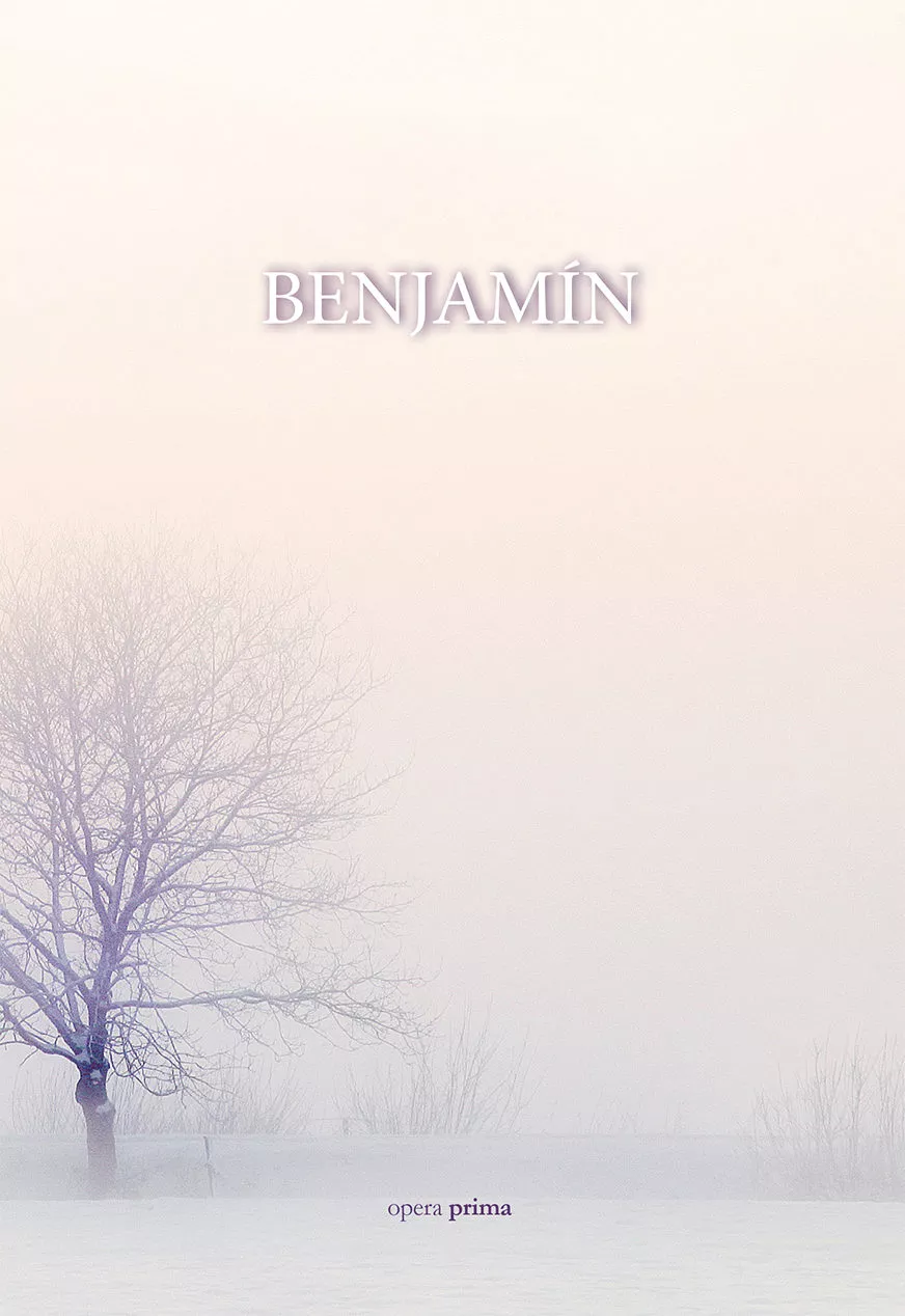 Portada del Libro Benjamin de Juan Antonio Galipienso Mas - 9788499466859