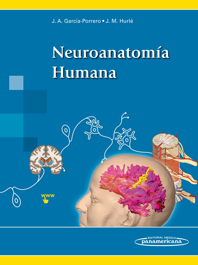 Portada del Libro Neuroanatomia Humana + Version Digital de Juan Antonio Garcia Porrero Perez - 9788491107453