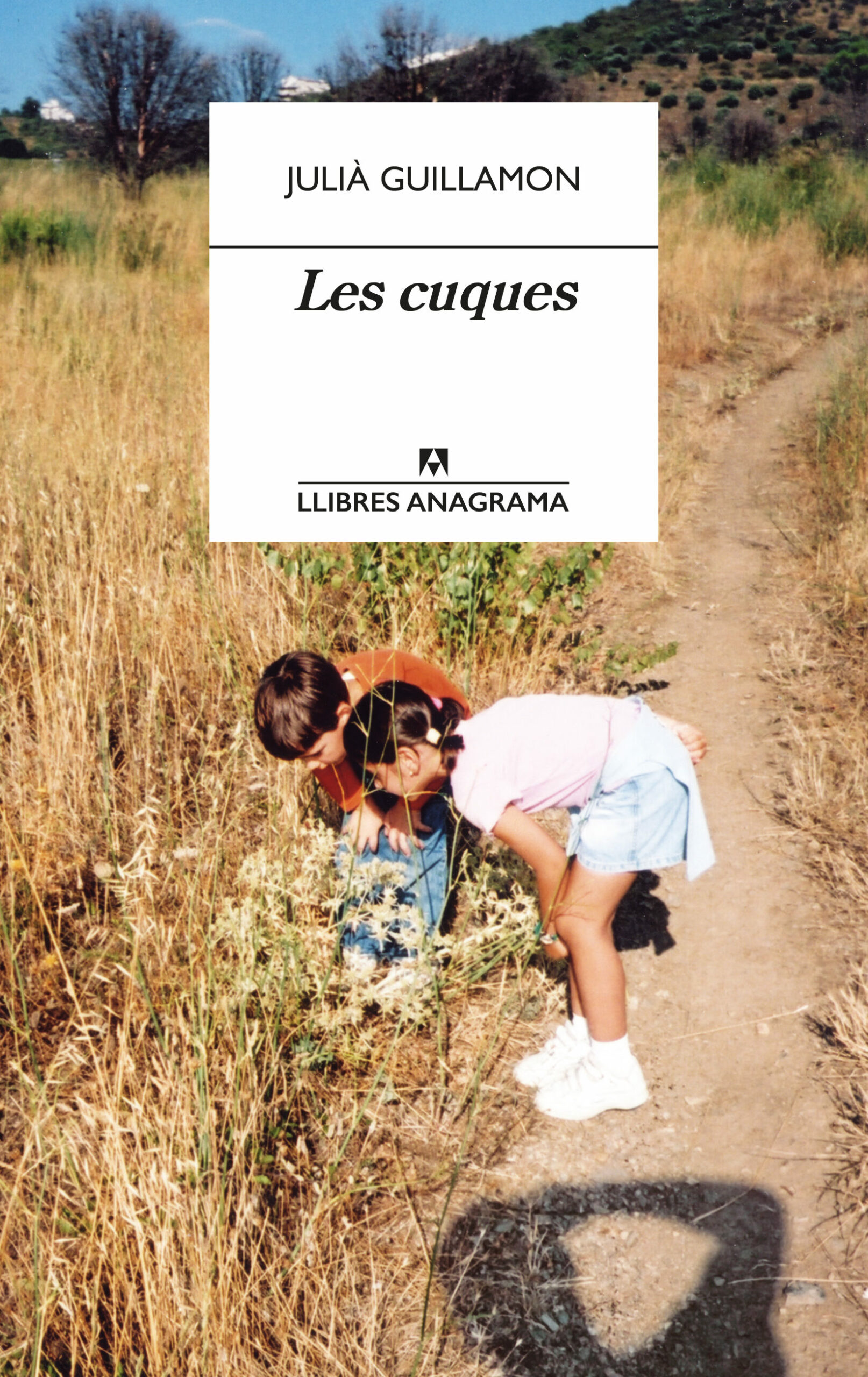 Portada del Libro Les Cuques de Julia Guillamon - 9788433915856