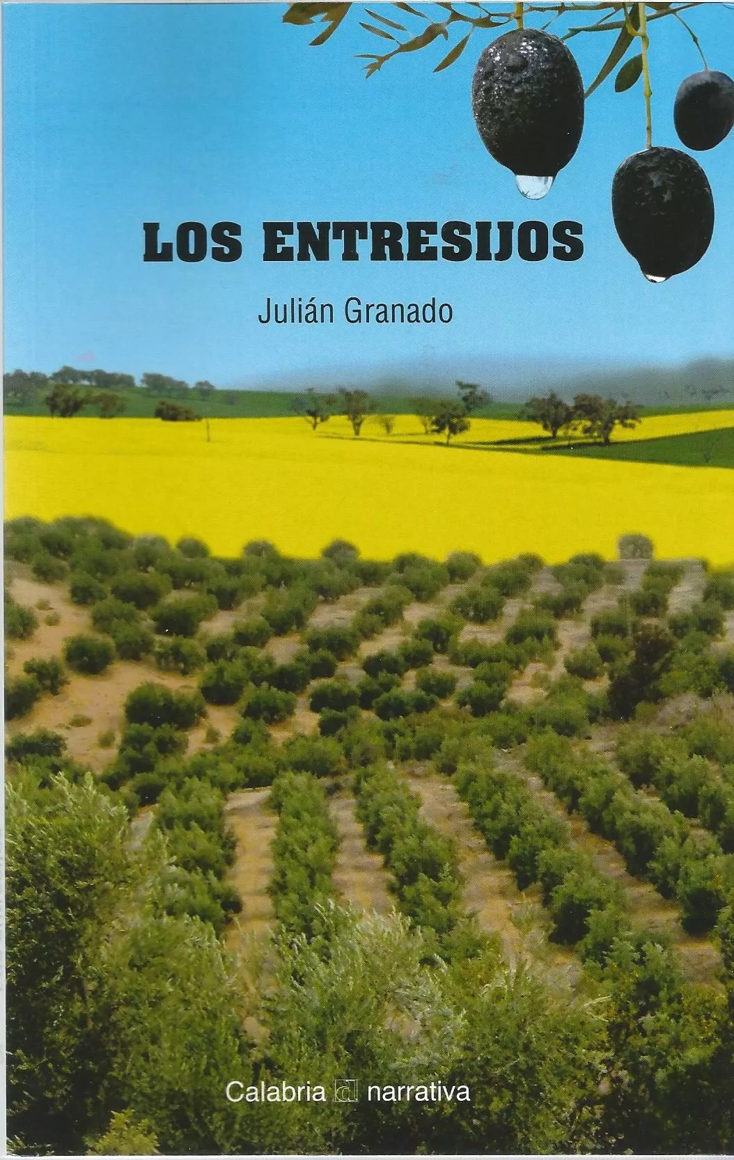 Portada del Libro Los Entresijos de Julian Granado - 9788416473328