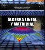Portada del Libro Álgebra Lineal Y Matricial de Julian Rodriguez Ruiz - 9788417765392