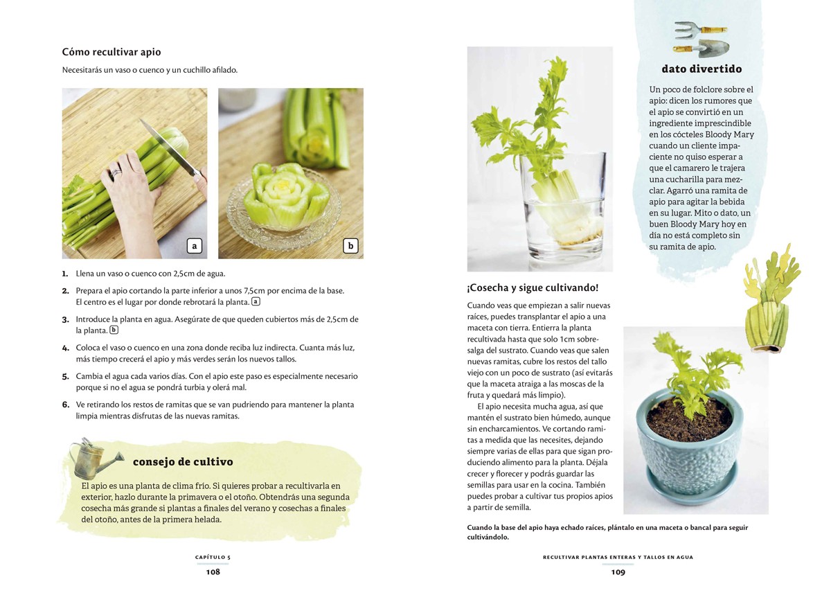 Portada del Libro El Huerto En La Cocina: Residuo Cero. Recultiva Los Restos De Las Verd de Katie Elzer Peters - 9788412026986
