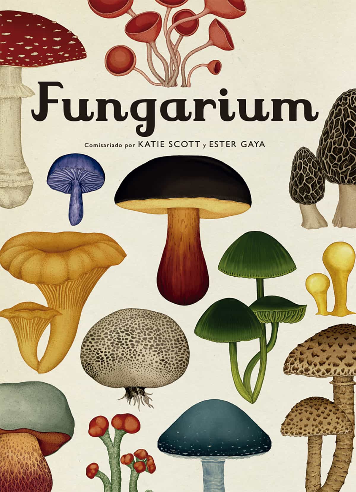 Portada del Libro Fungarium de Katie Scott - 9788417553623
