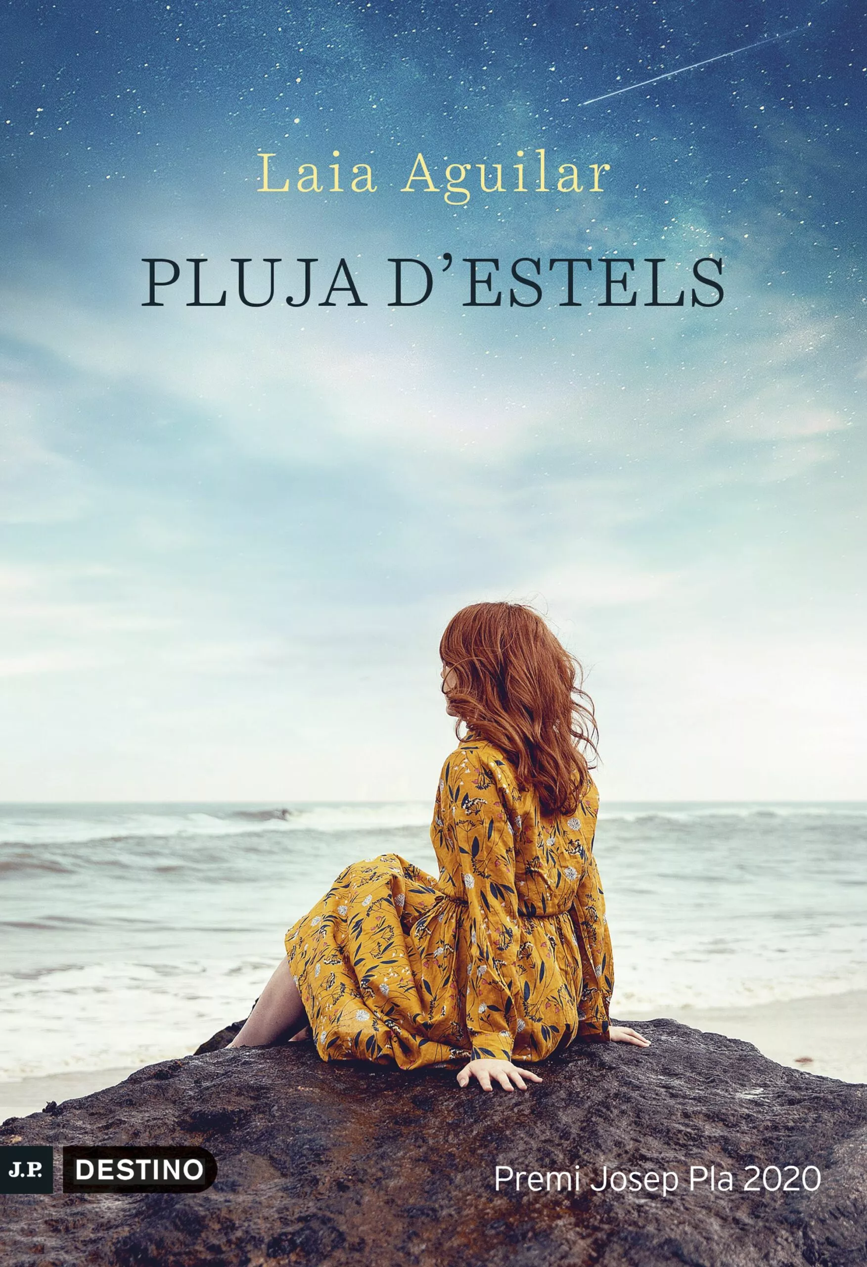 Portada del Libro Pluja D Estels (Premi Josep Pla 2020) de Laia Aguilar - 9788497102940