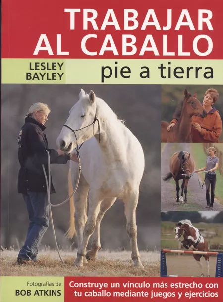 Portada del Libro Trabajar El Caballo: Pie A Tierra de Lesley Baylet - 9788495376633