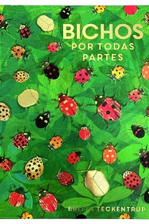 Portada del Libro Bichos Por Todas Partes de Lily Murray - 9788417497637