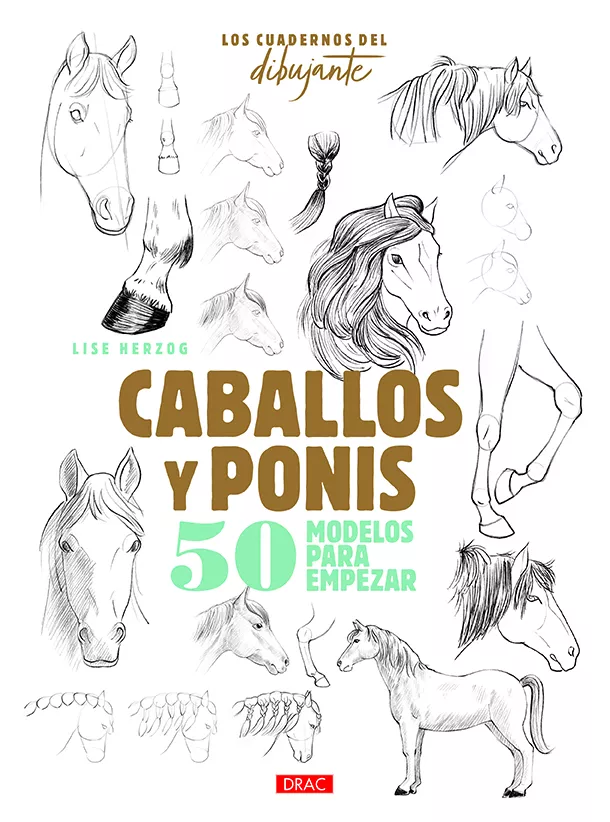 Portada del Libro Los Cuadernos Del Dibujante. Caballos Y Ponis de Lise Herzog - 9788498746457
